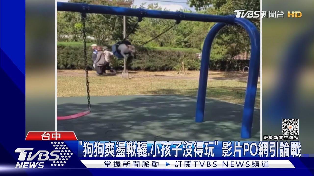 台中宏恩公園狗狗玩盪鞦韆爭議 市府回應公告:鞦韆是給2至12歲兒童玩的