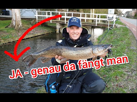 JA, da fängt man! Kleine Gräben - Tolle Hechte! Angeln mit dem Shallow Rig, Spinnerbaits & Swimbaits