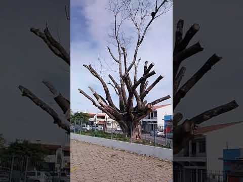 Passeando pela Rodoviária de Paraguaçu - MG.