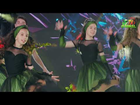 Firicel de Busuioc - Rock And Roll