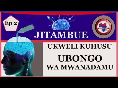 FAHAMU KUHUSU UBONGO WA BINADAMU EP 2