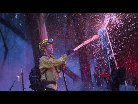 Piante "straniere" contro gli incendi