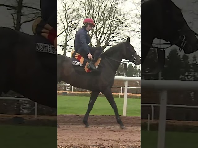 Thumbnail for Post ID: ONjuSSgLlns