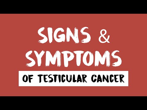 Testicular Cancer   Signs & Symptoms