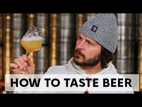 How to Taste Beer - Critically