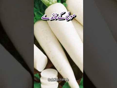 Mooli Khany Ke Fayde, Benefits of eating Radish #health #radish #shorts