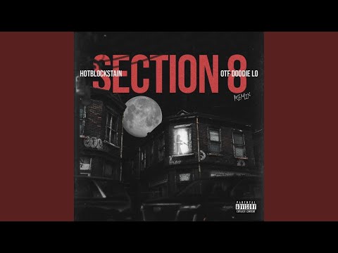 Section 8 remix