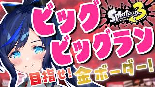 【スプラ3ビッグラン参加型】初めてのビッグビッグラン！Switch2の力を見せる時が来ました…！【splatoon3/#新人vtuber 】