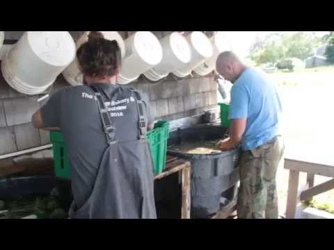 Visited Appleton Farm in Ipswich, MA and Saw People Working, OMG!