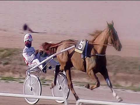 Trotto 17/02/2019 - 1ª corsa