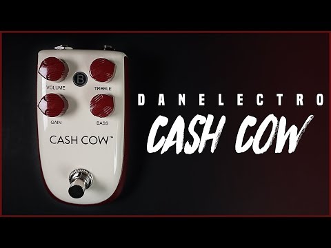 Rock Like a Billionaire! | Danelectro Cash Cow