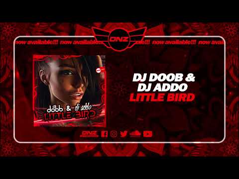DNZ562 // DJ DOOB & DJ ADDO - LITTLE BIRD (Official Video DNZ Records)