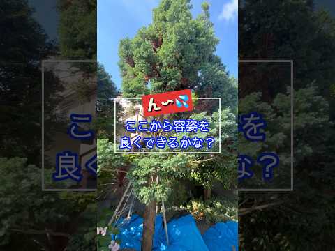 春に剪定すべきではない植物はどれですか?またその理由は何ですか?  庭園