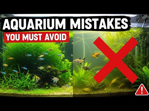 12 mistakes that could RUIN your aquarium