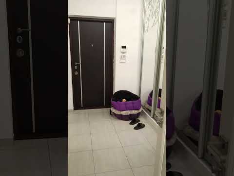 Відео-тур
