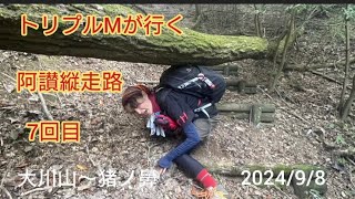 阿讃縦走路第７回目🎉蜘蛛の巣ロード#阿讃縦走#大川山#猪の鼻峠#箸蔵街道