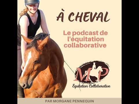 63. Comment faire engager les posterieurs de mon cheval