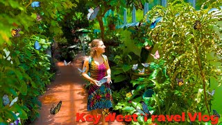 Tour Key West's Butterfly Paradise | Travel Vlog | DestinatioNow
