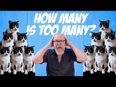 How Many Cats is Too Many Cats?