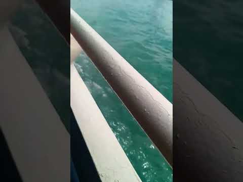 #kanyakumari #beach #youtube  #travel #beautifulnature #shorts #sea #kanyakumaribeach #trending