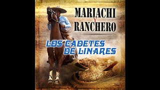 Tu Ingrato Corazón - Los Cadetes de Linares