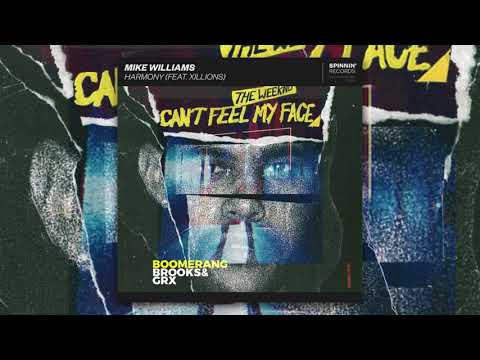 Mike Williams, Martin Garrix, Brooks - Can't Feel My Boomerang Harmony (Korbinian Schindler Mashup)