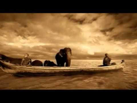 Friends - Meadow Island