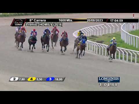 230820 c08 IMPONENTE L