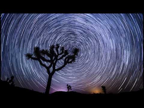 Know Kontrol, Shadym & Niereich - Into The Lights