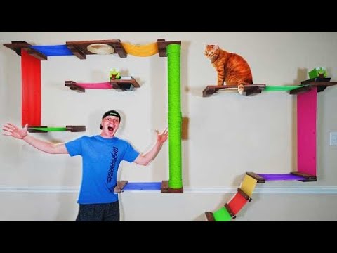 TURNING MY HOUSE INTO A CAT PLAYLAND! (KITTY DREAM HOUSE!)
