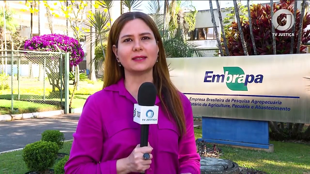 📺 JJ – Assistente de campo receberá por intervalos de recuperação térmica que não eram concedidos