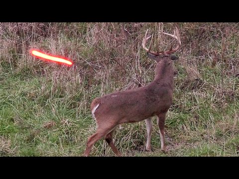 20 Shots in 20 Minutes! (ULTIMATE Bowhunting Compilation)