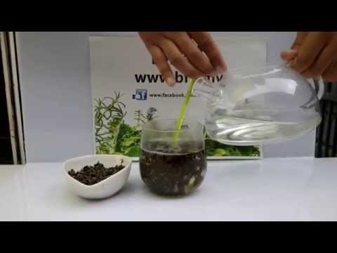 Malaysia Herbals - Dry Herbal Gynestemma Tea [BF1]