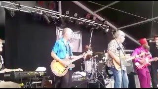 Lil' Ed & The Blues Imperials, Bob Margolin, Bob Corritore, Paul San Martín