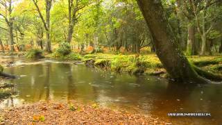 Ursula LeGuin & Todd Barton - Kesh Musics from Always Coming Home - River Song