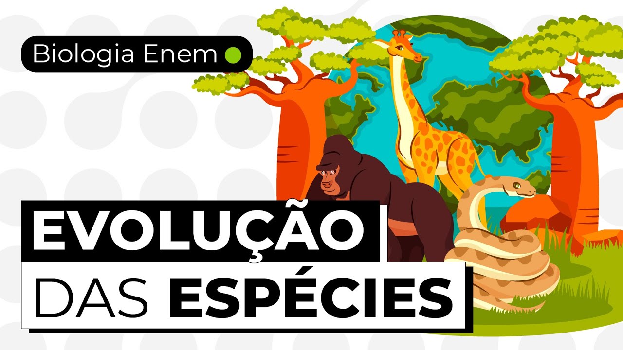 TEORIAS EVOLUCIONISTAS: DARWINISMO E LAMARCKISMO | Resumo de Biologia para o Enem