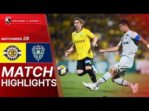 bg-highlight