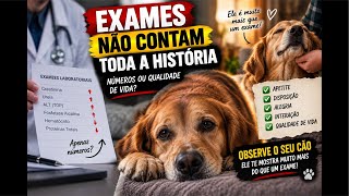 CANSADO DE GASTAR DINHEIRO COM EXAMES PARA CACHORRO