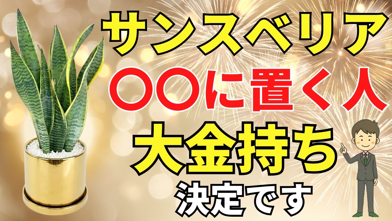 【サンスベリアで金運アップ】貧乏神逃げる置き場所を風水アドバイザーが解説