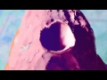 Vadoinmessico - Teeo (Official) HD 