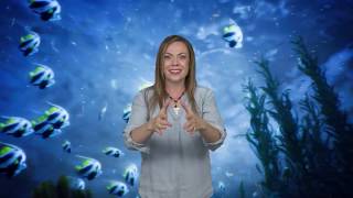 BOYS AND GIRLS CLUB Music with Mandi