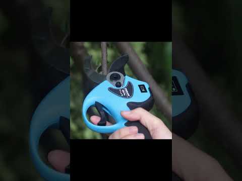 園芸 ディスタッフ果樹を剪定する