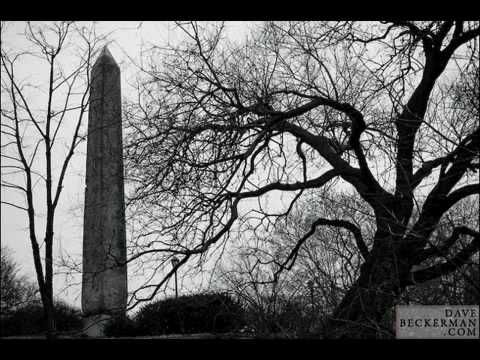 Ray+Lynch's+Tiny+Geometries.mp4