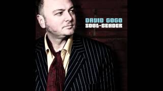 David Gogo - Please Find My Baby