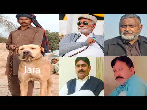 All Pakistan Champion Dog Name Lara 4x winner Owner Malik Allah dita Khokhar of Burewala #dog