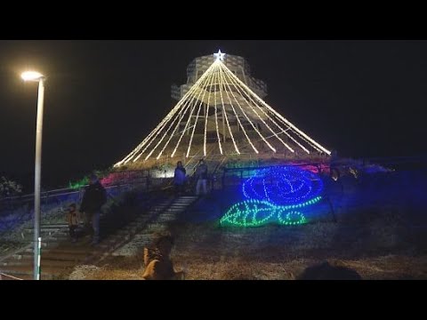 YouTube Video 静岡・富士市の田子の浦港でイルミネーションの点灯式「バラ」「魚」「イルカ」のイルミネーションが人気