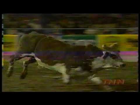 Hollywood bucks Keith Adams - 98 PBR Albuquerque