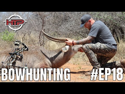 HunTech EP18 - Bow Hunting Waterbuck & Golden Wildebeest at Wildebeespan Bowhunting