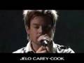 American Idol 7: David Cook's Journey (Season ...
