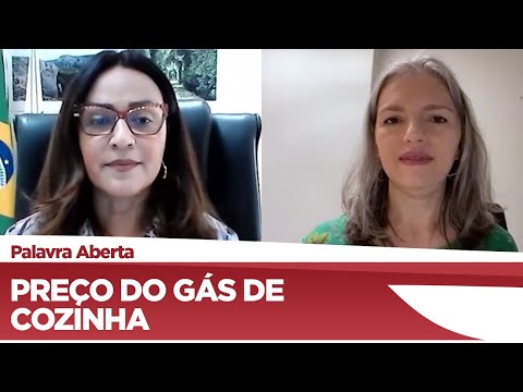 Rejane Dias quer fixar em R$ 50 o preço máximo do gás de cozinha - 22/02/2021